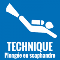 Apres Midi Decouverte Recycleur
